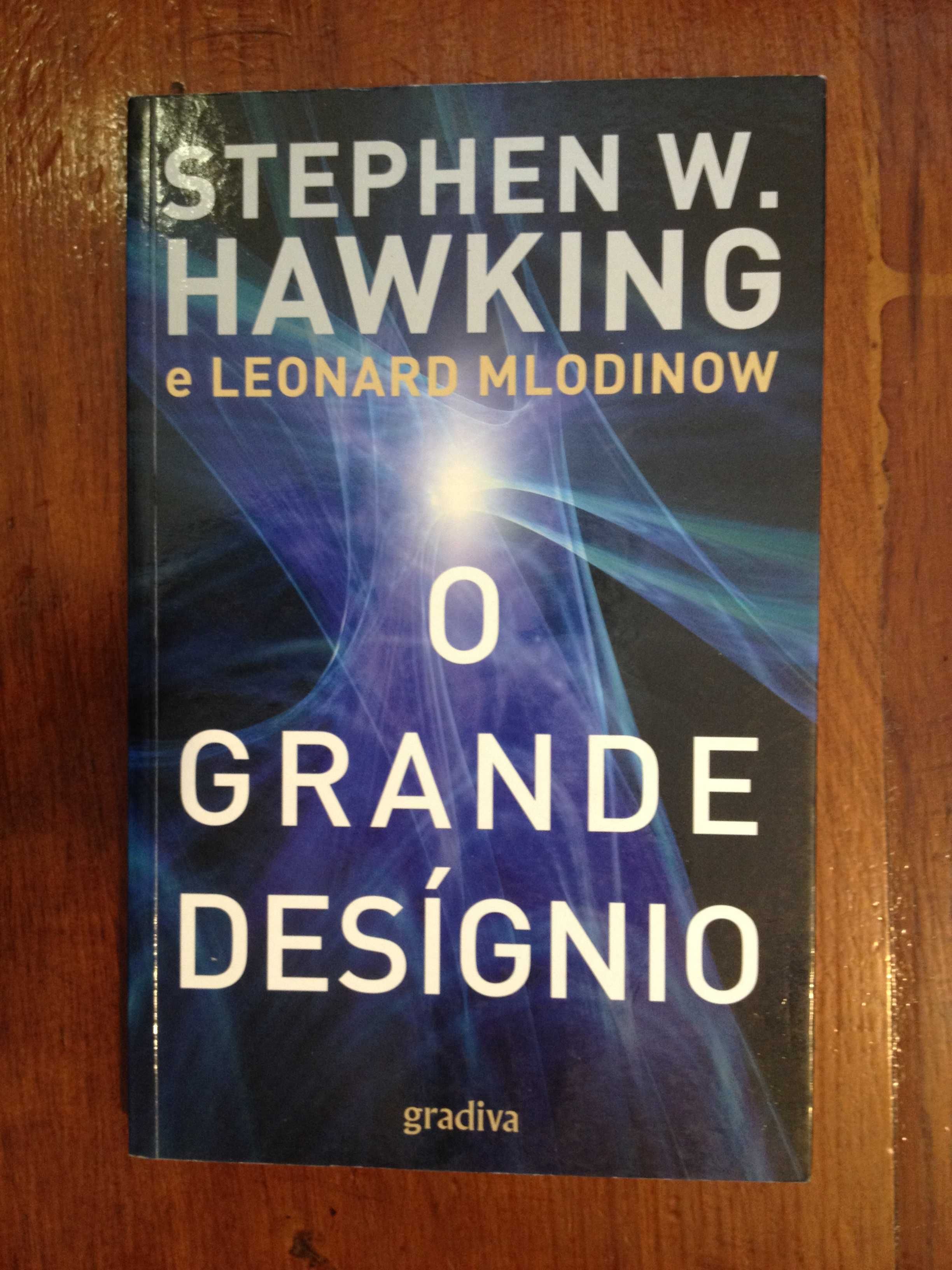 Stephen Hawking e Leonard Mlodinow - O grande desígnio