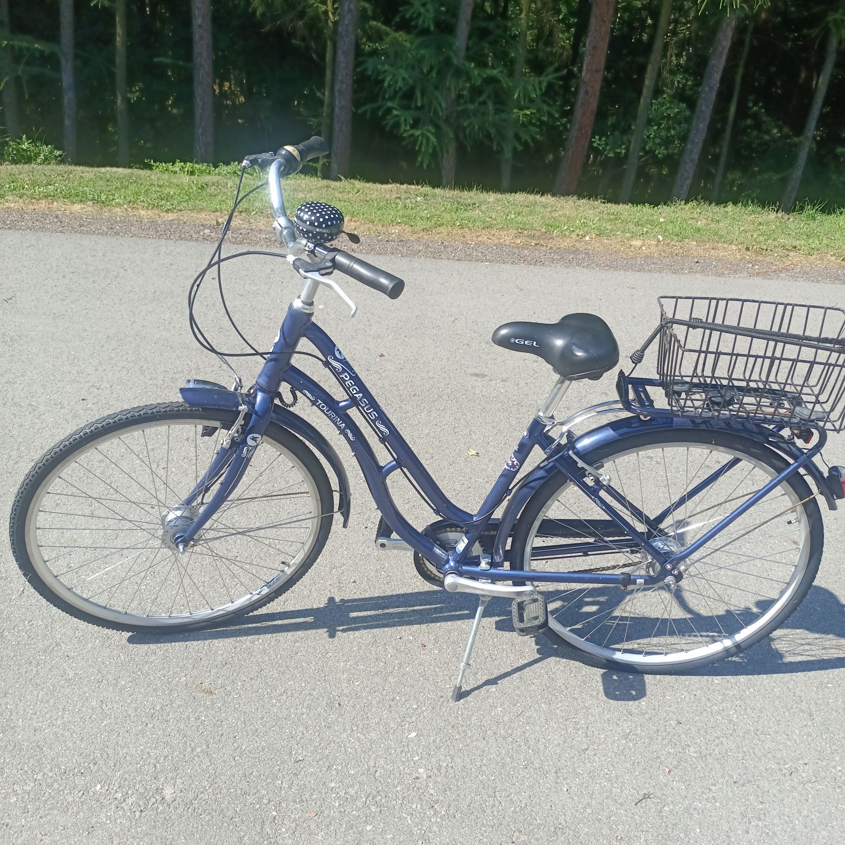 Rower Pegasus damka