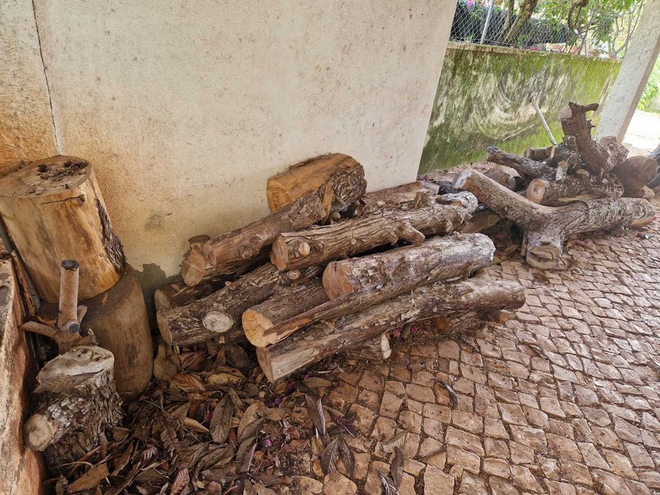 Lenha em bruto para lareira