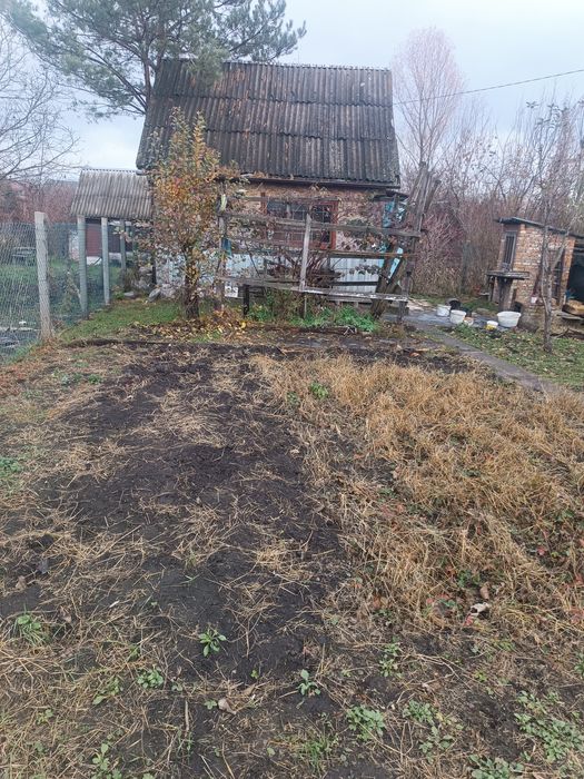 Дача в межах міста