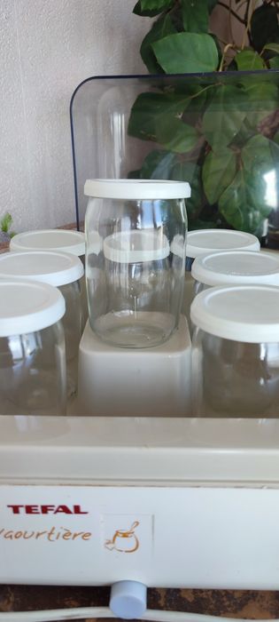 Йогуртовниця Tefal