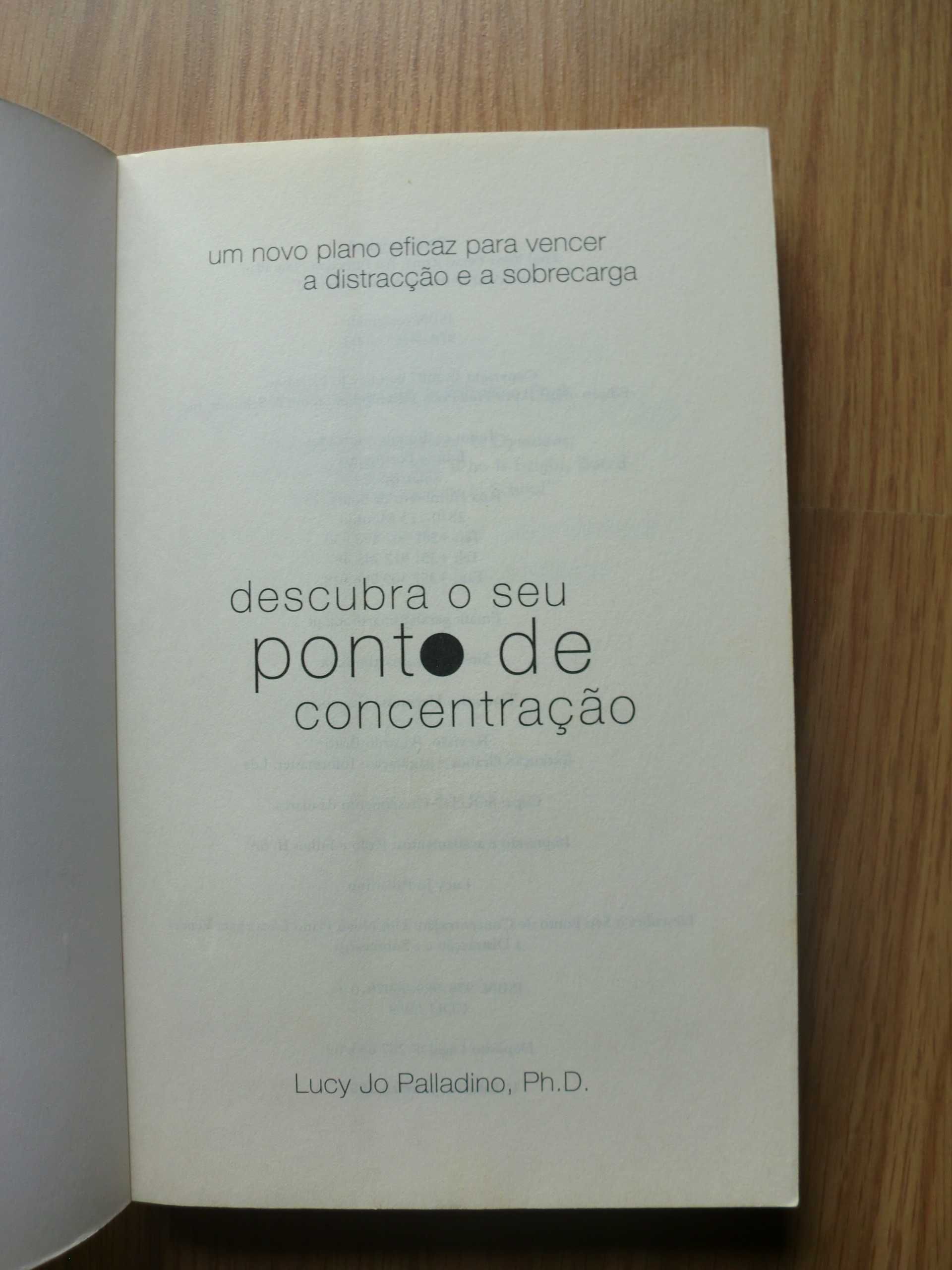 Descubra o Seu Ponto de Concentração de Lucy Jo Palladino