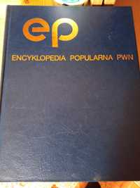 Encyklopedia popularna PWN