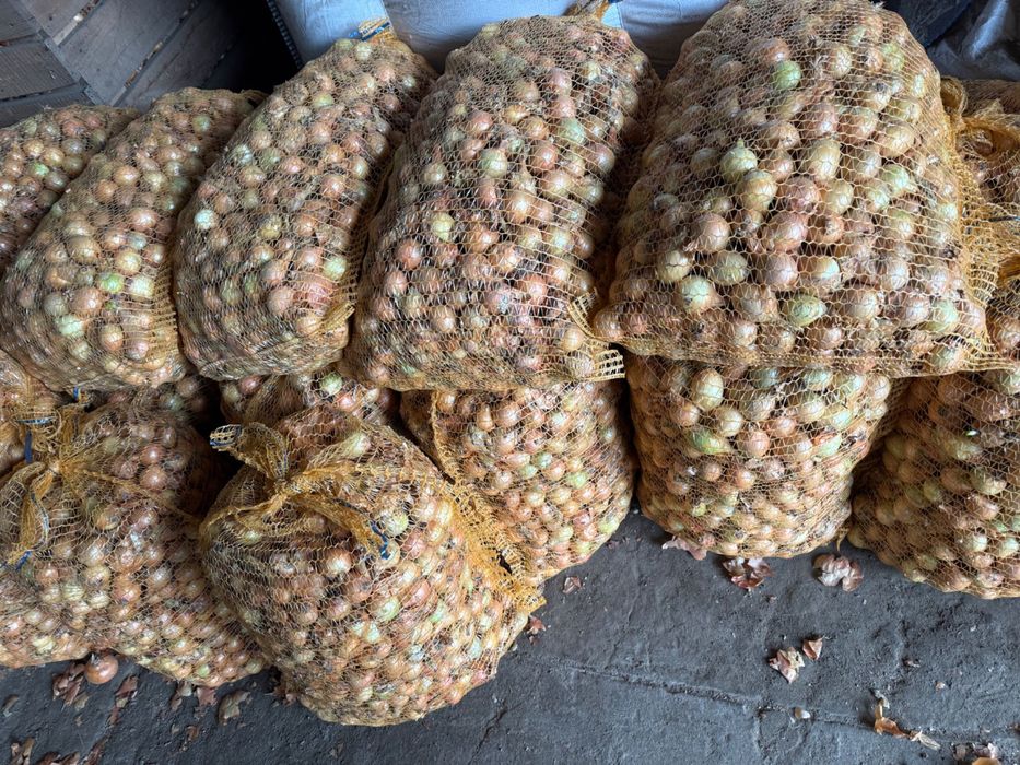 Sprzedam cebulę drobną