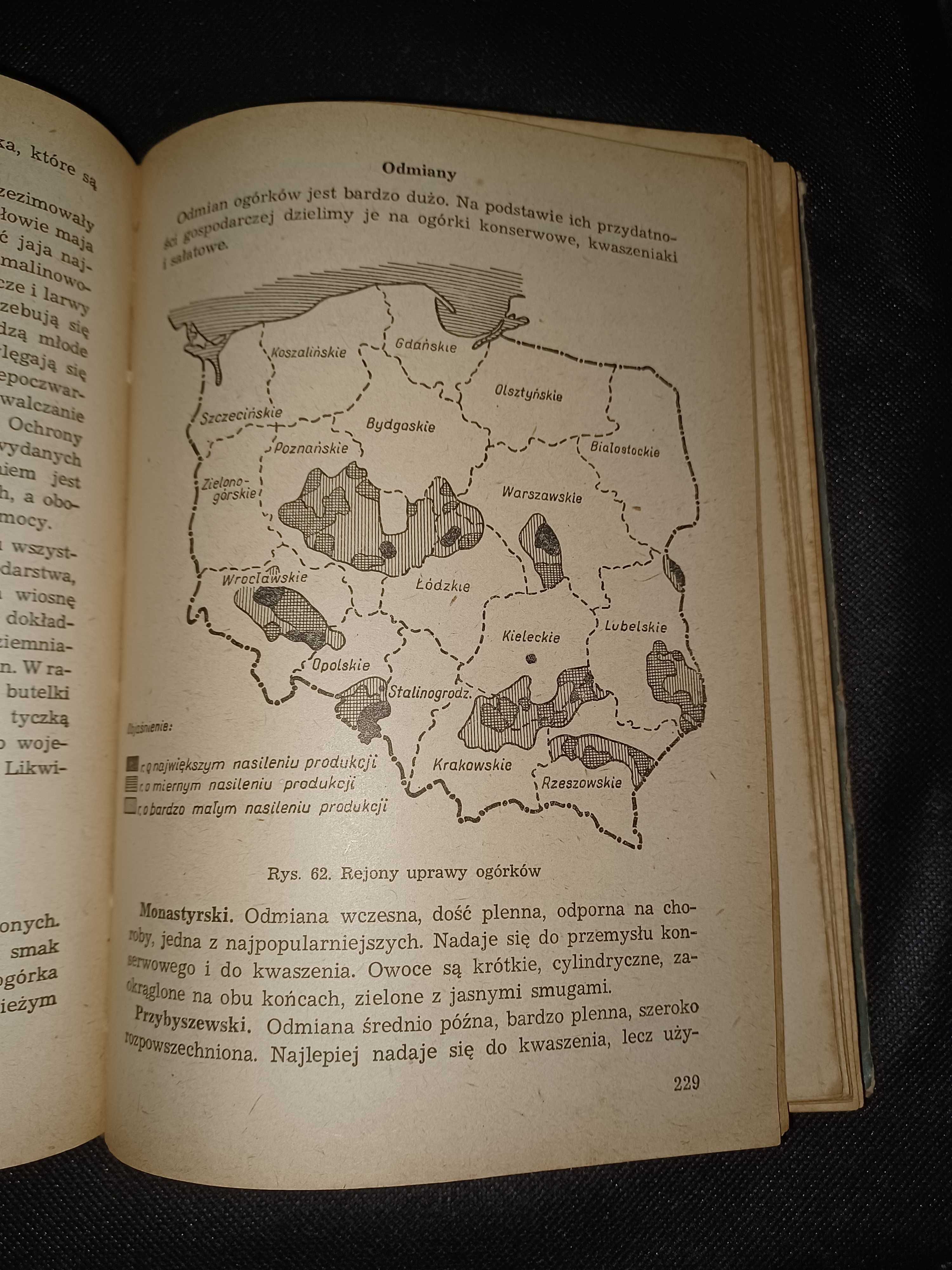 Stara książka poradnik ogrodnika z 1954 roku