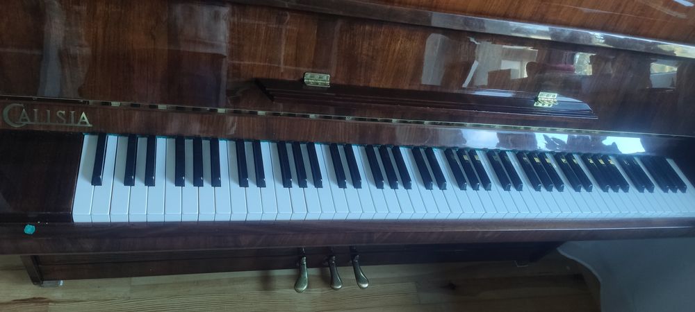 Pianino  Calisia