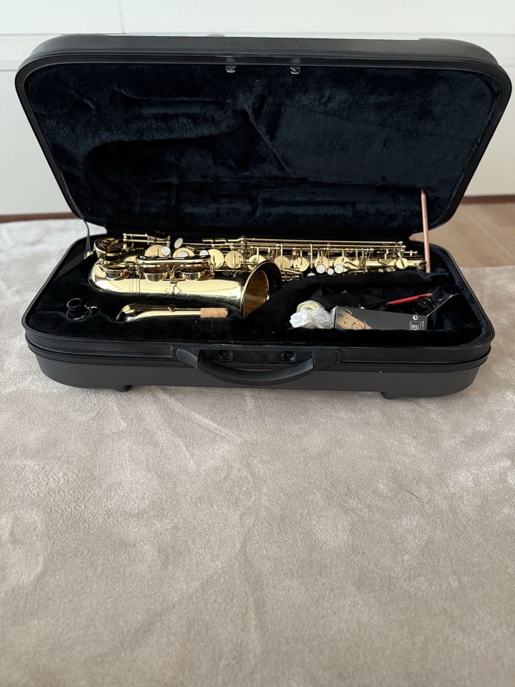 Saxophone Alto Stagg