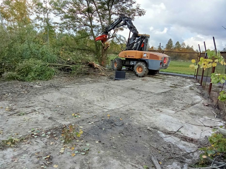 wycinka drzew, mulczer, zwyżka frezowanie pni