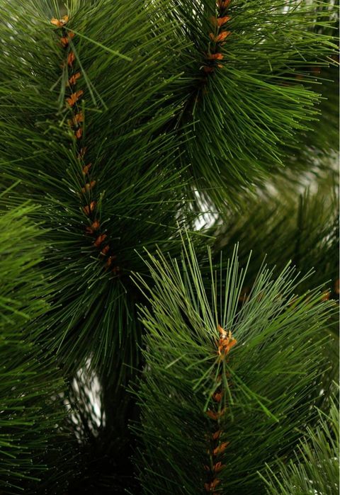 Сосна (ялинка) Люкс 180