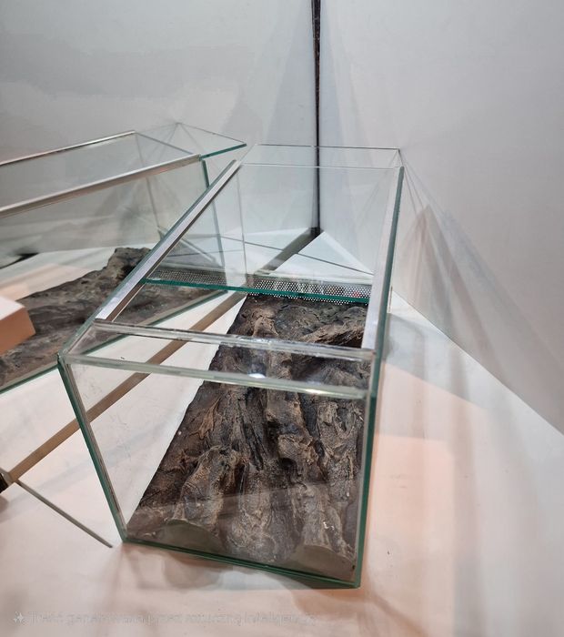 Terrarium szklane wąż pająk patyczak 20x20x36  20l
