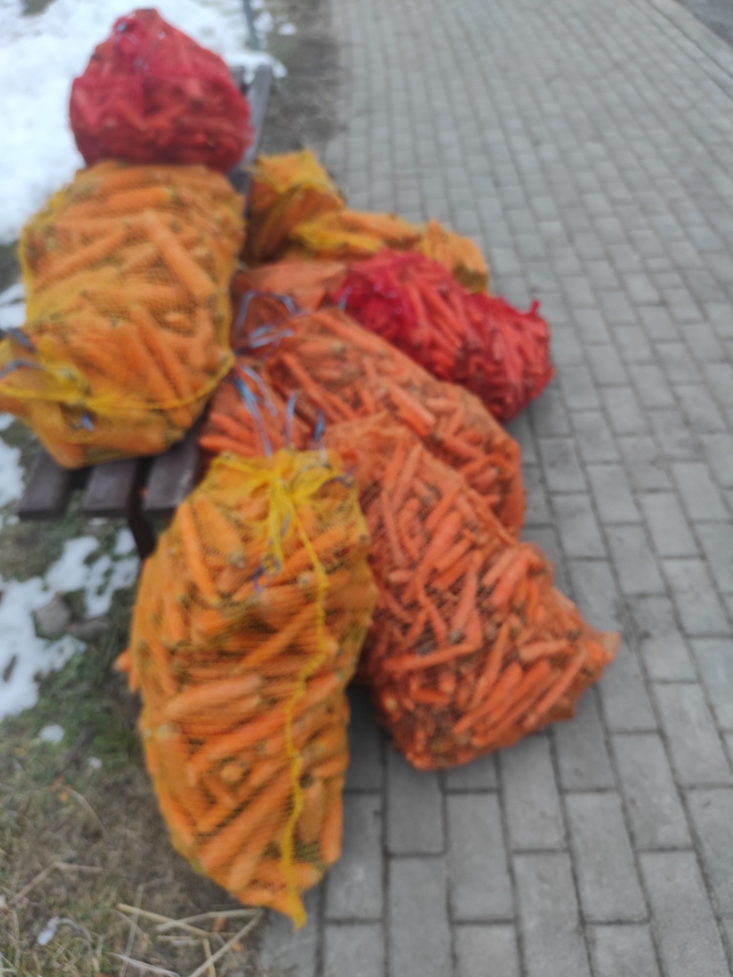 Młoda Marchew odpadowa  świeża w workach 20kg  15 kg 10 k