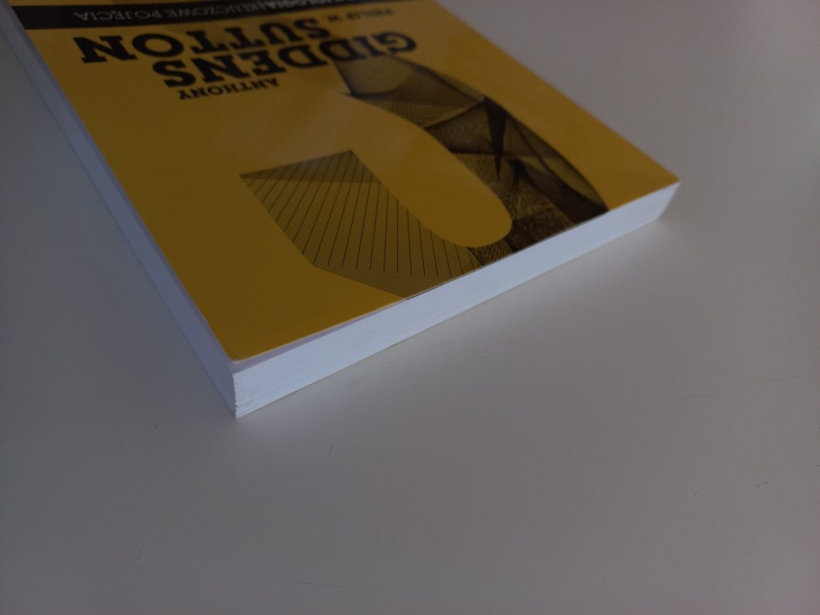 Socjologia. Kluczowe pojęcia - Giddens, Sutton
