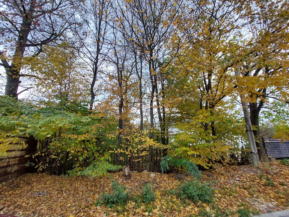 Продаж земельної ділянки вул. Крушельницької м Трускавець