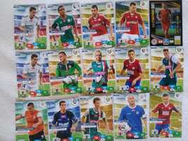 Karty piłkarskie Panini Ekstraklasa 2013-14