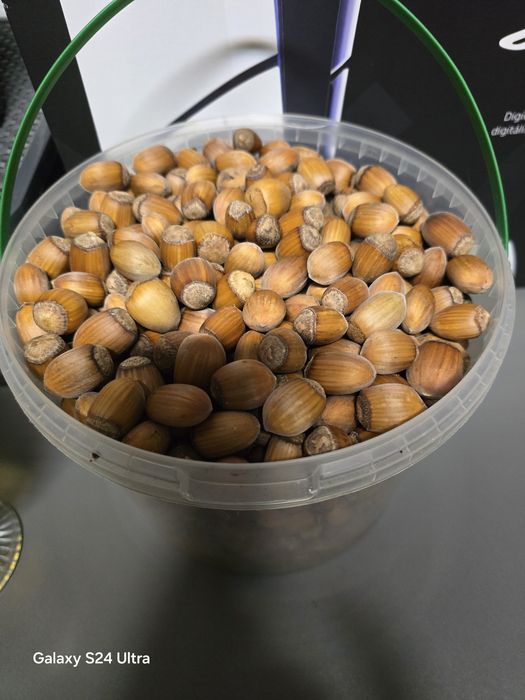 Orzechy laskowe ekologiczne