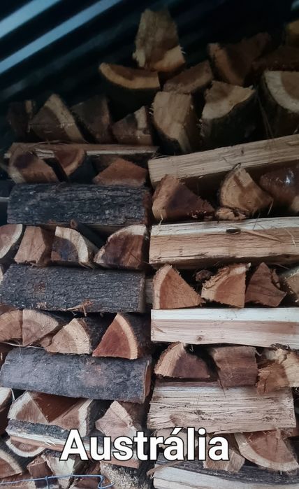 Vendo lenha seca
