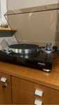 Micro Seiki BL-91 + SEAC WE-308  !!!