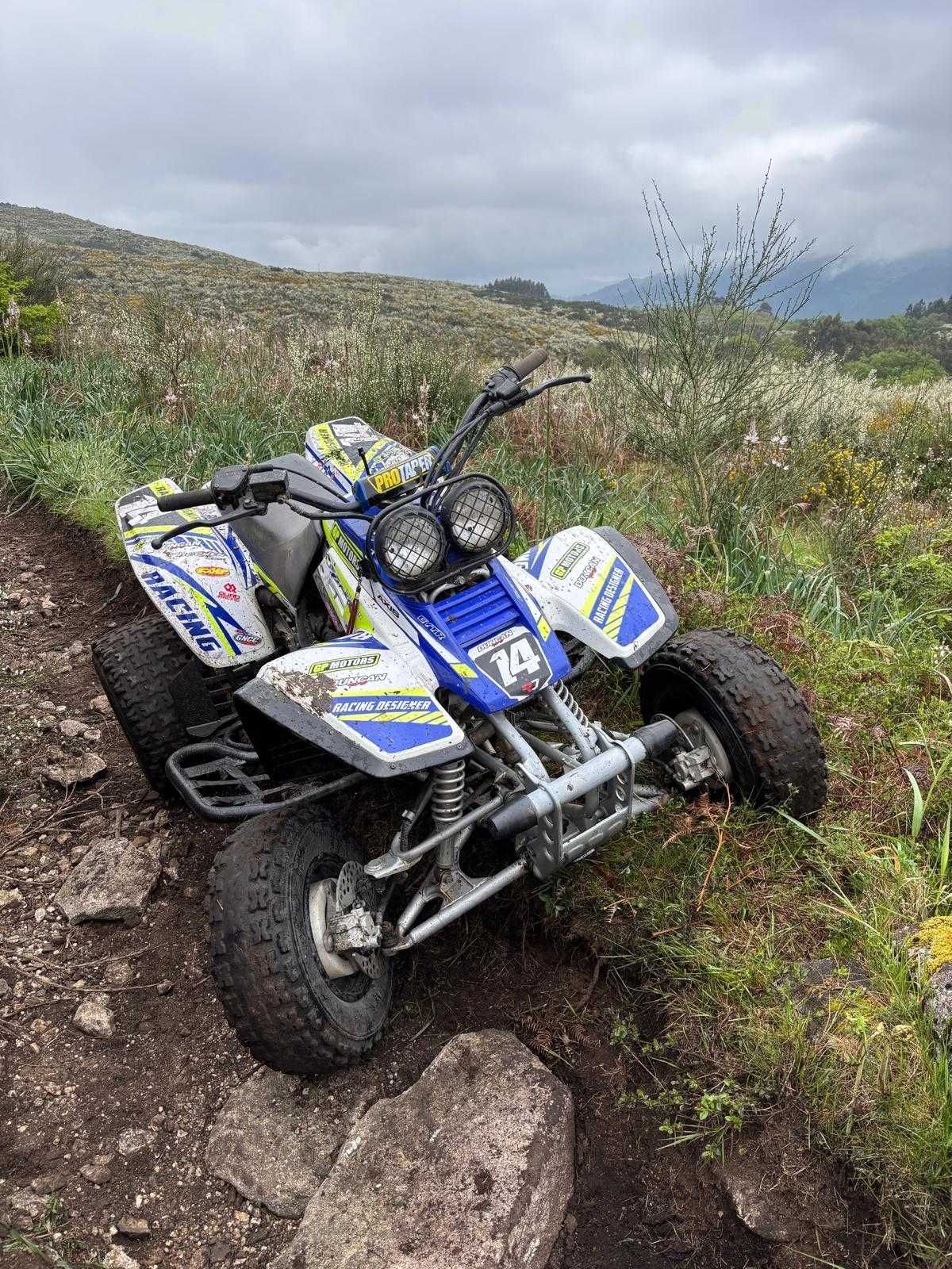 Yamaha warrior 350