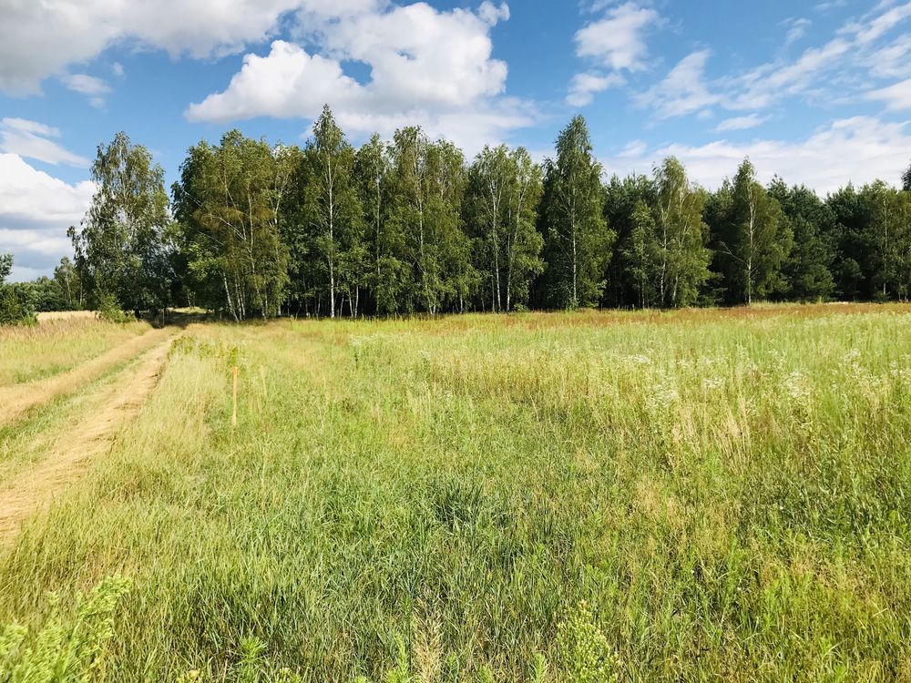 Działka nad zalewem