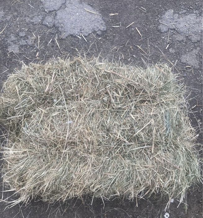 Продам тюки сіна