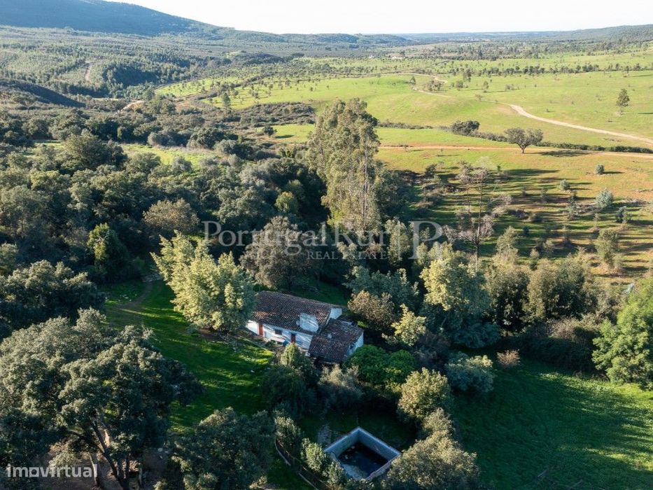 10 hectares e 6 montes isolados, em Serra d' Ossa - Estremoz
