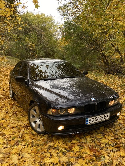 Продам бмв е39 2001рік