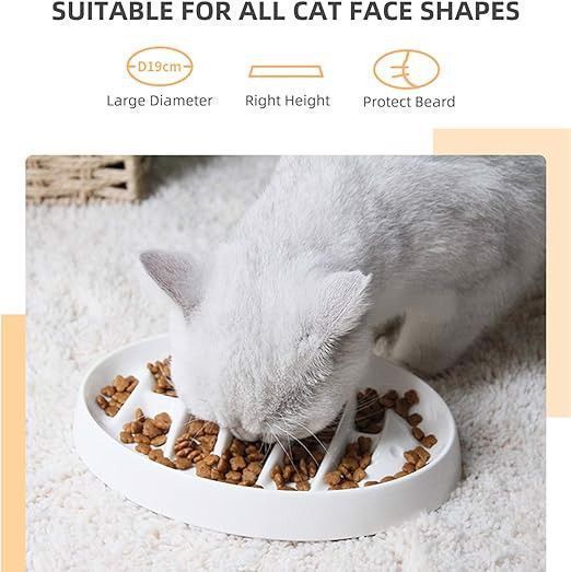 Miska dla kota wolno karmiąca lepsze trawienie