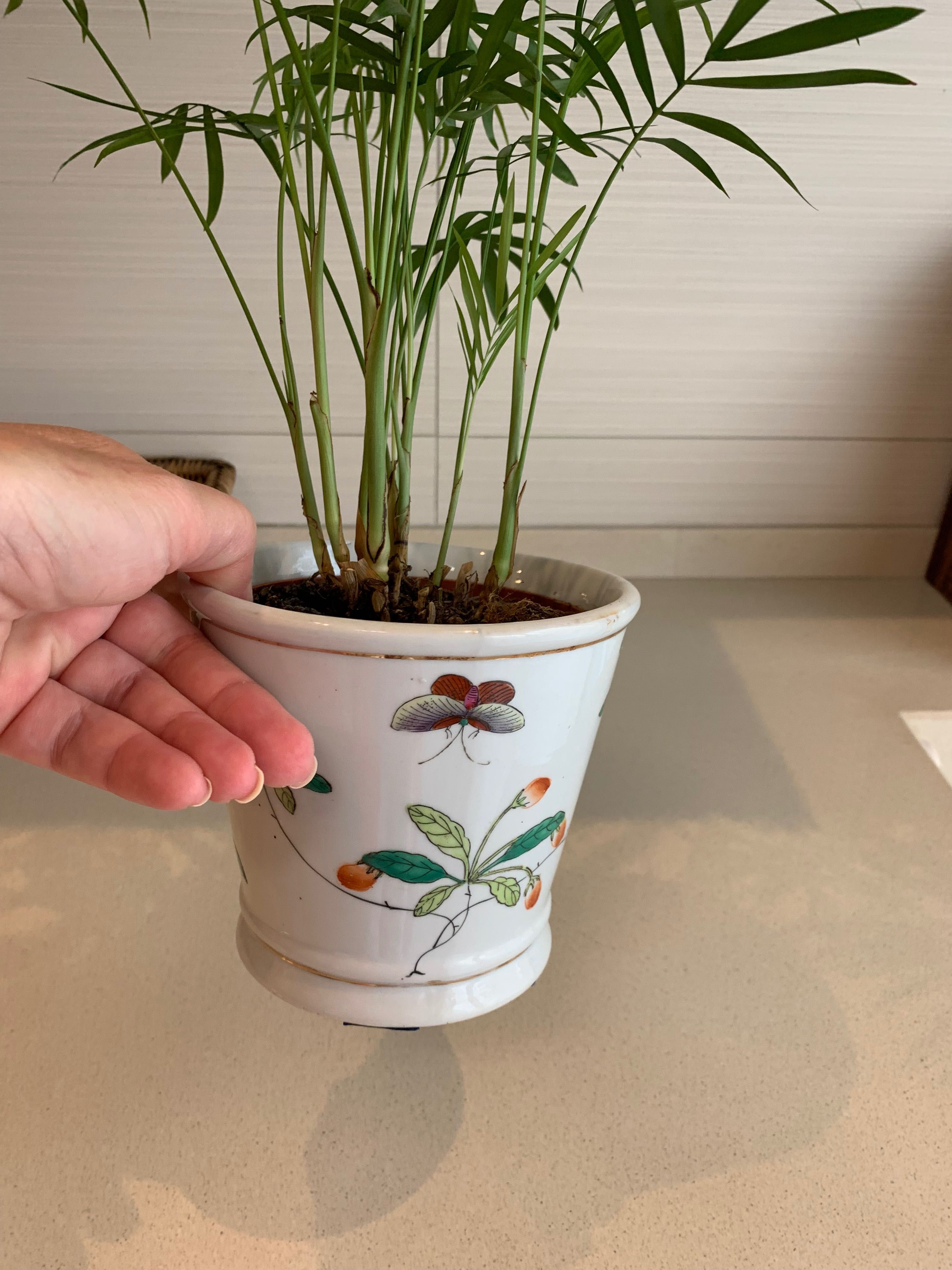 Cache-pot antigo porcelana oriental