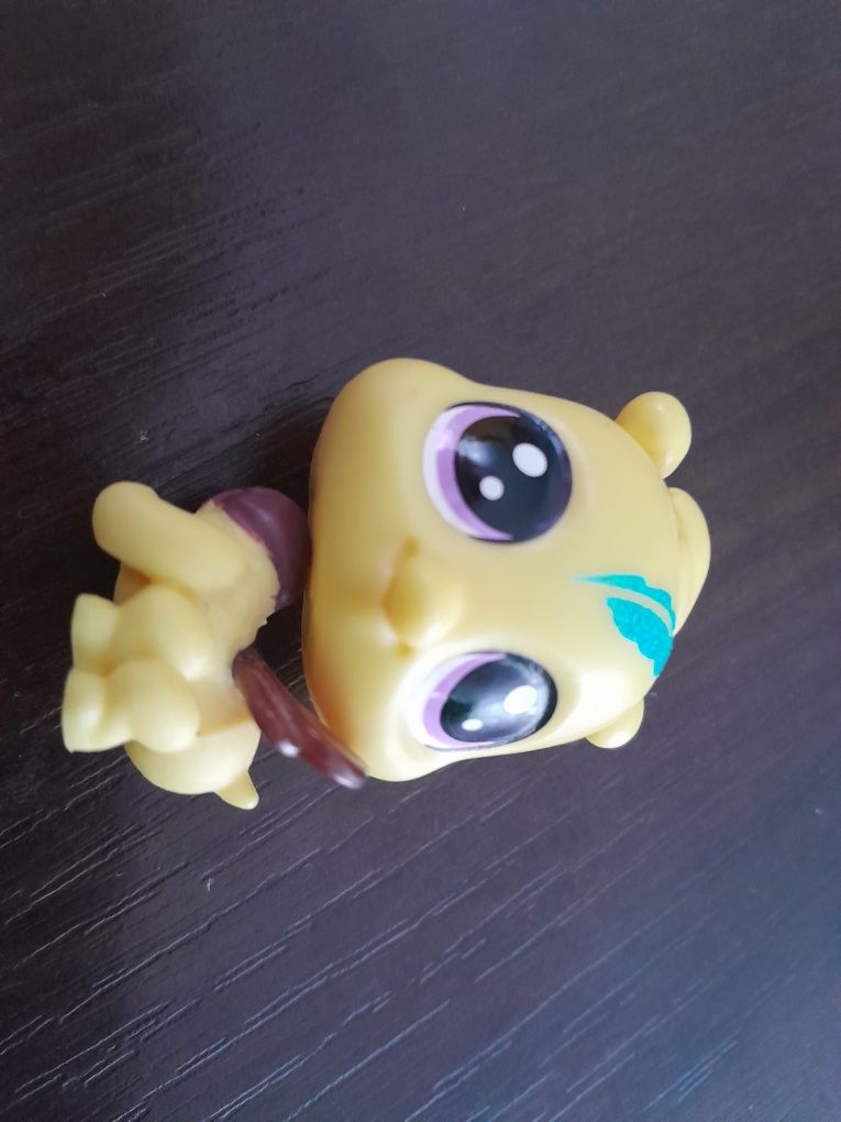 Domek ul , pszczółka  Littlest Pet Shop