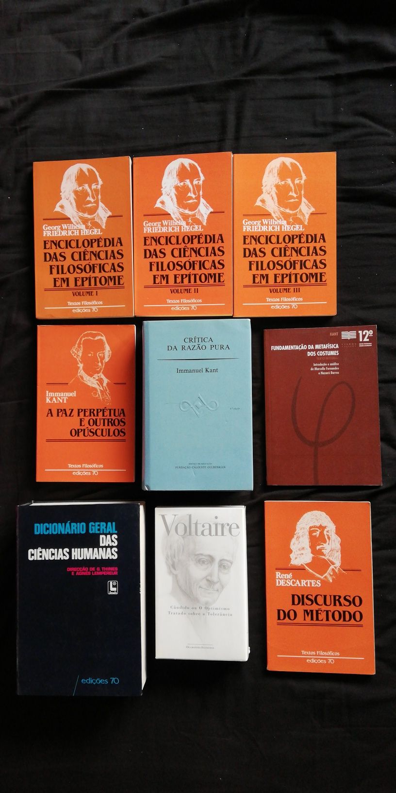 Livros de Filosofia- Aquino, Nietzsche,Hobbes,Foucault...(portes gráti