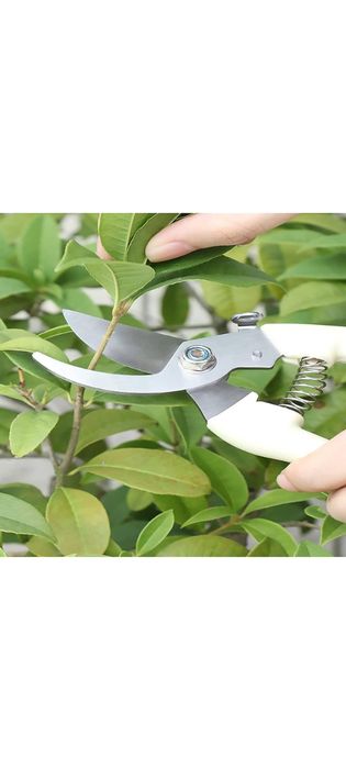 Секатор садовий.