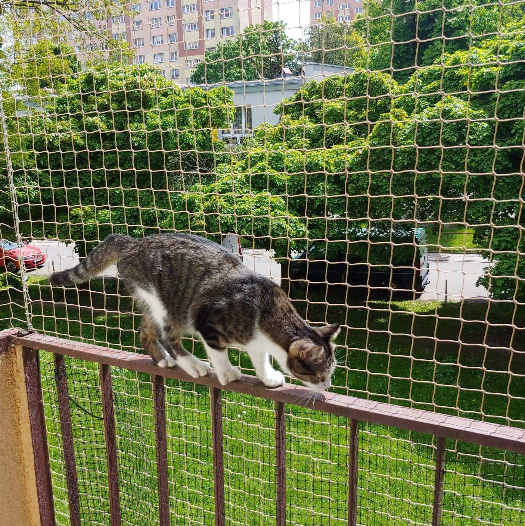 Montaż siatki na balkon przed ptakami dla kota sprzątanie balkonów