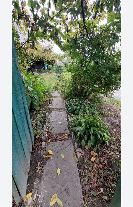 Продам,здам будинок під дачу.