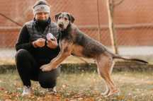 Młody Terier Gapek poleca się do adopcji!!!