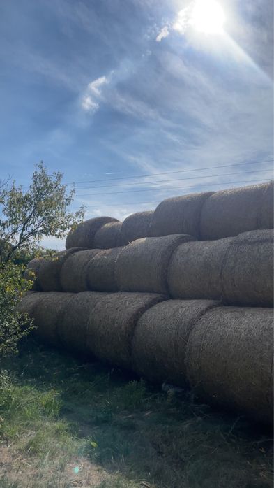 sprzedam słome i siano