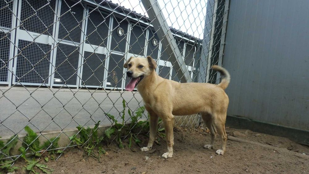 Rozbrykany Tymianek potrzebuje stabilnego domku na już