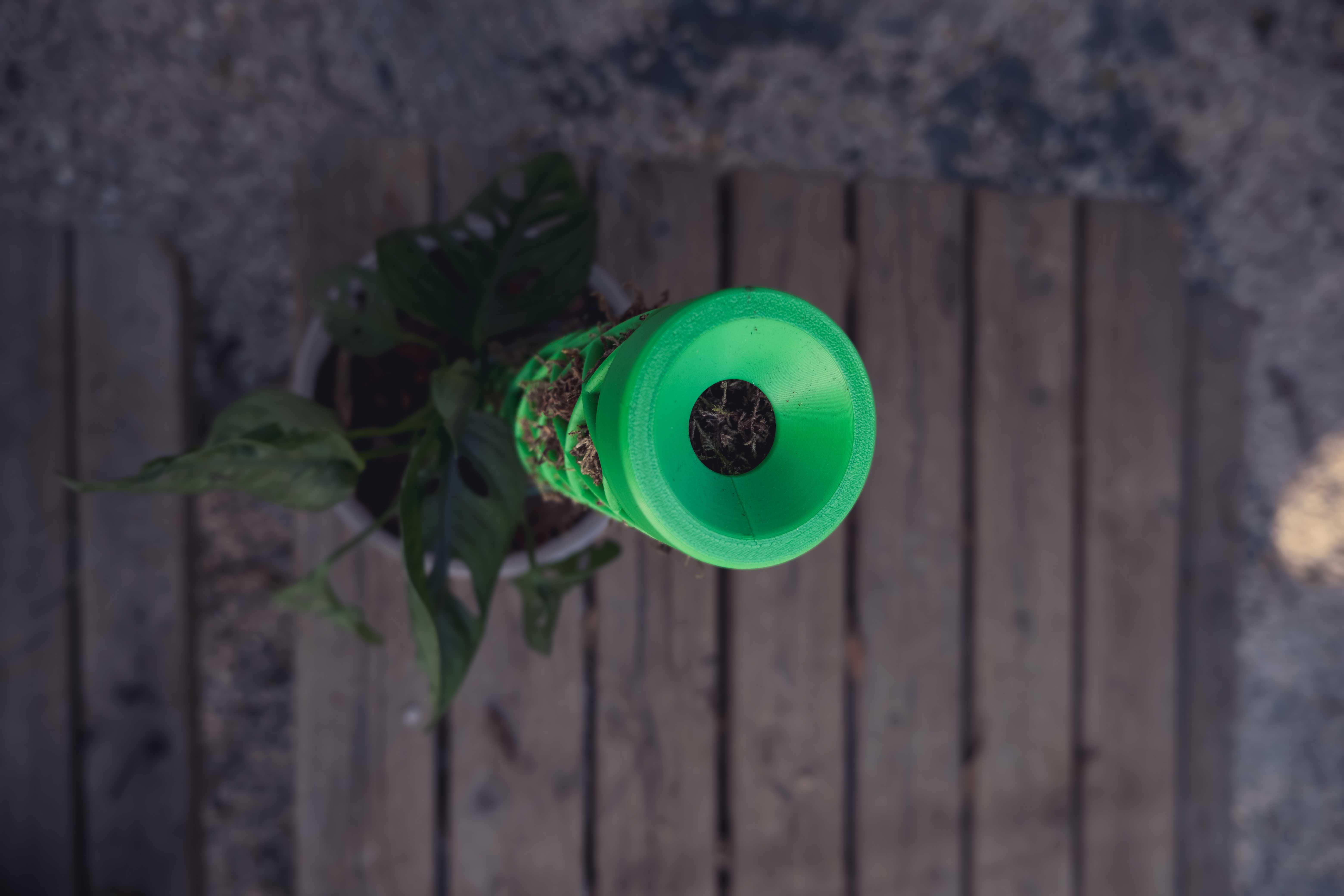 Mosspole, suporte musgo para plantas