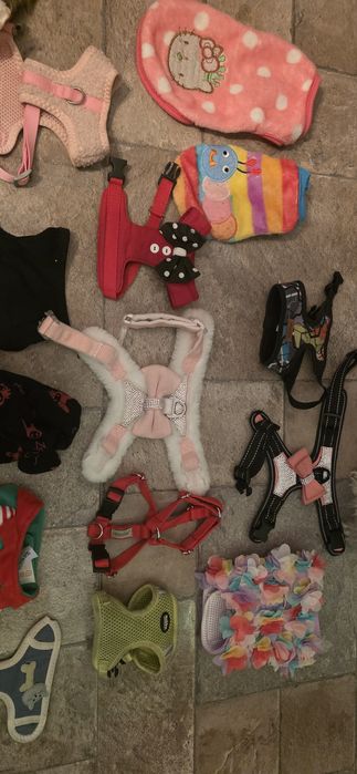 Ubranka ubranko obroże obroża szelki dla psa