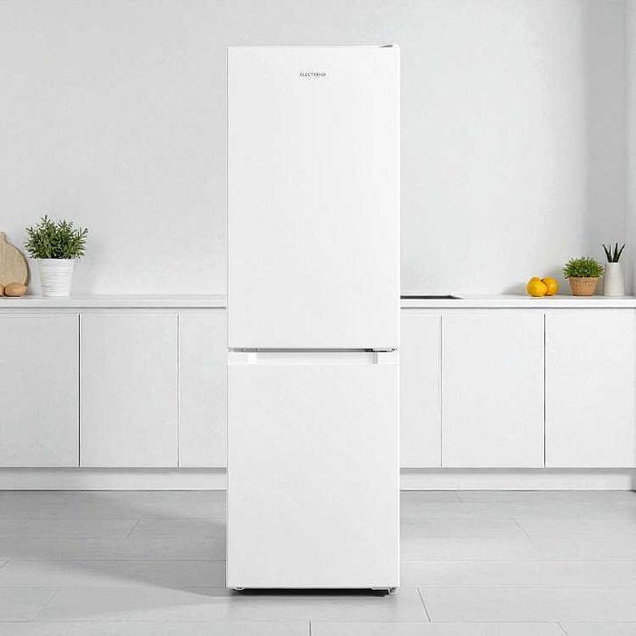 Frigorífico combinado - Estado Novo