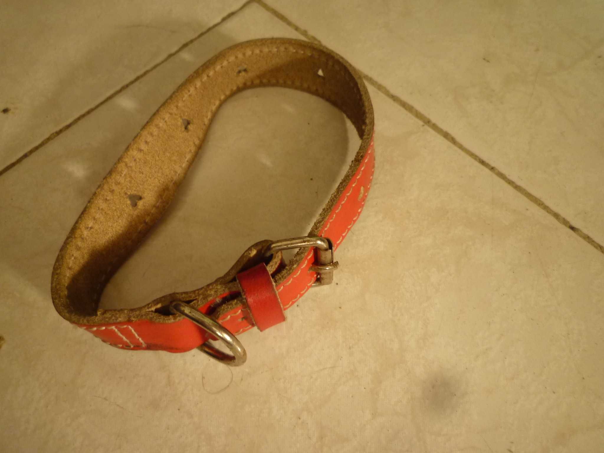 Coleira em pele para cão de porte pequeno ou médio