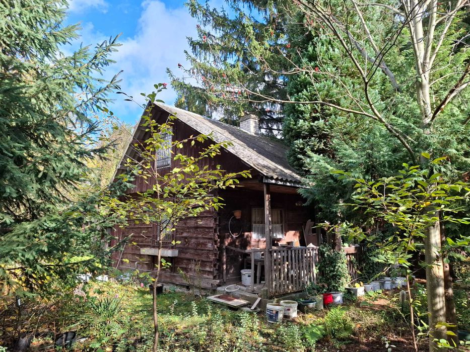 Działka ROD Augustówka Mokotów 490m2 z domem drewnianym z poddaszem