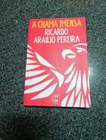 A Chama Imensa - Livro
