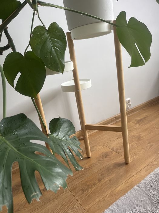 Stojak na kwiaty Ikea