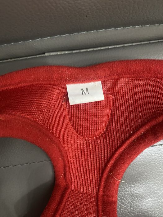 Bezpieczne szelki + smycz