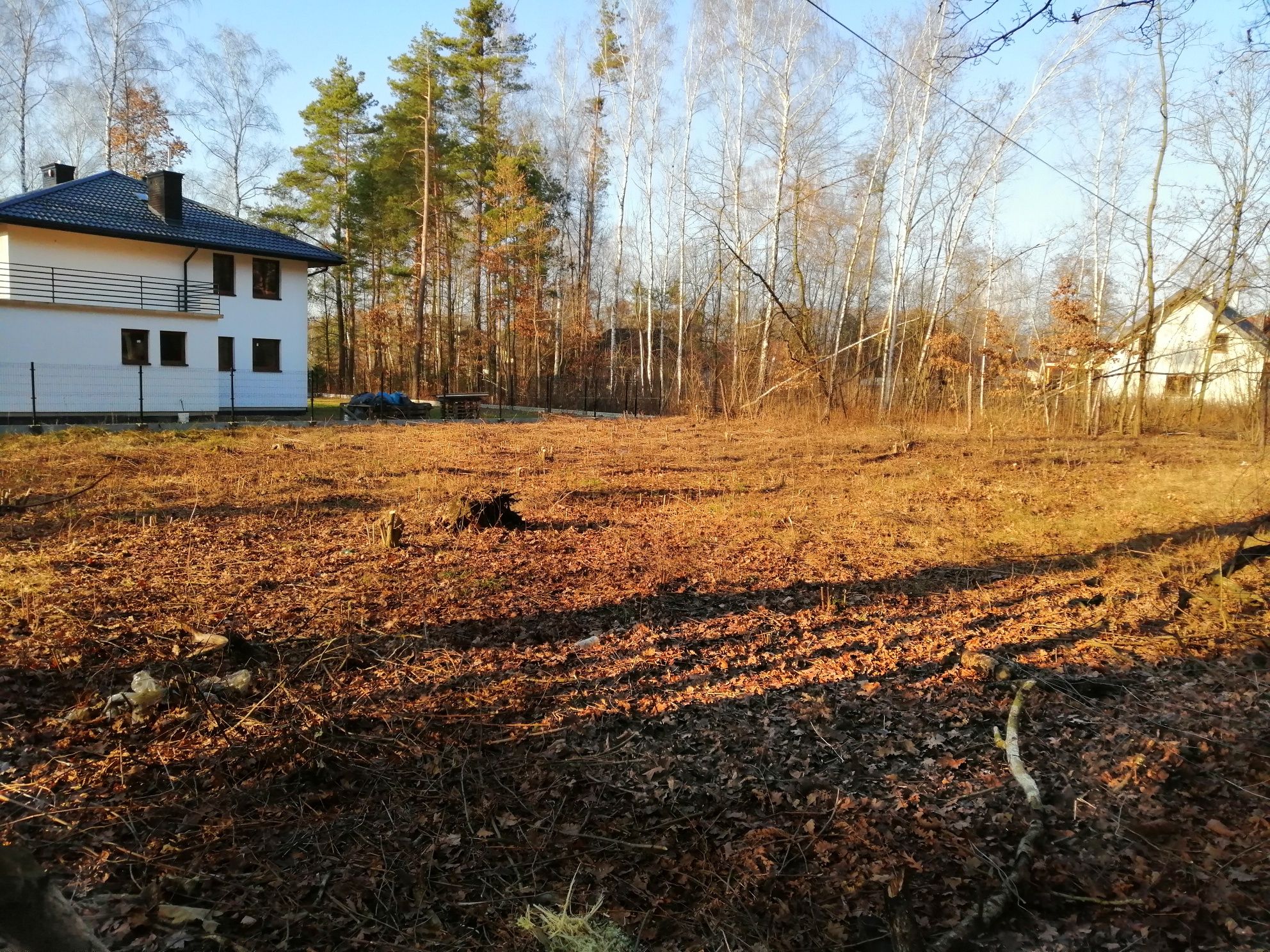 Czyszczenie działek mielenie gałęzi wycinka drzew rębak Najtaniej!