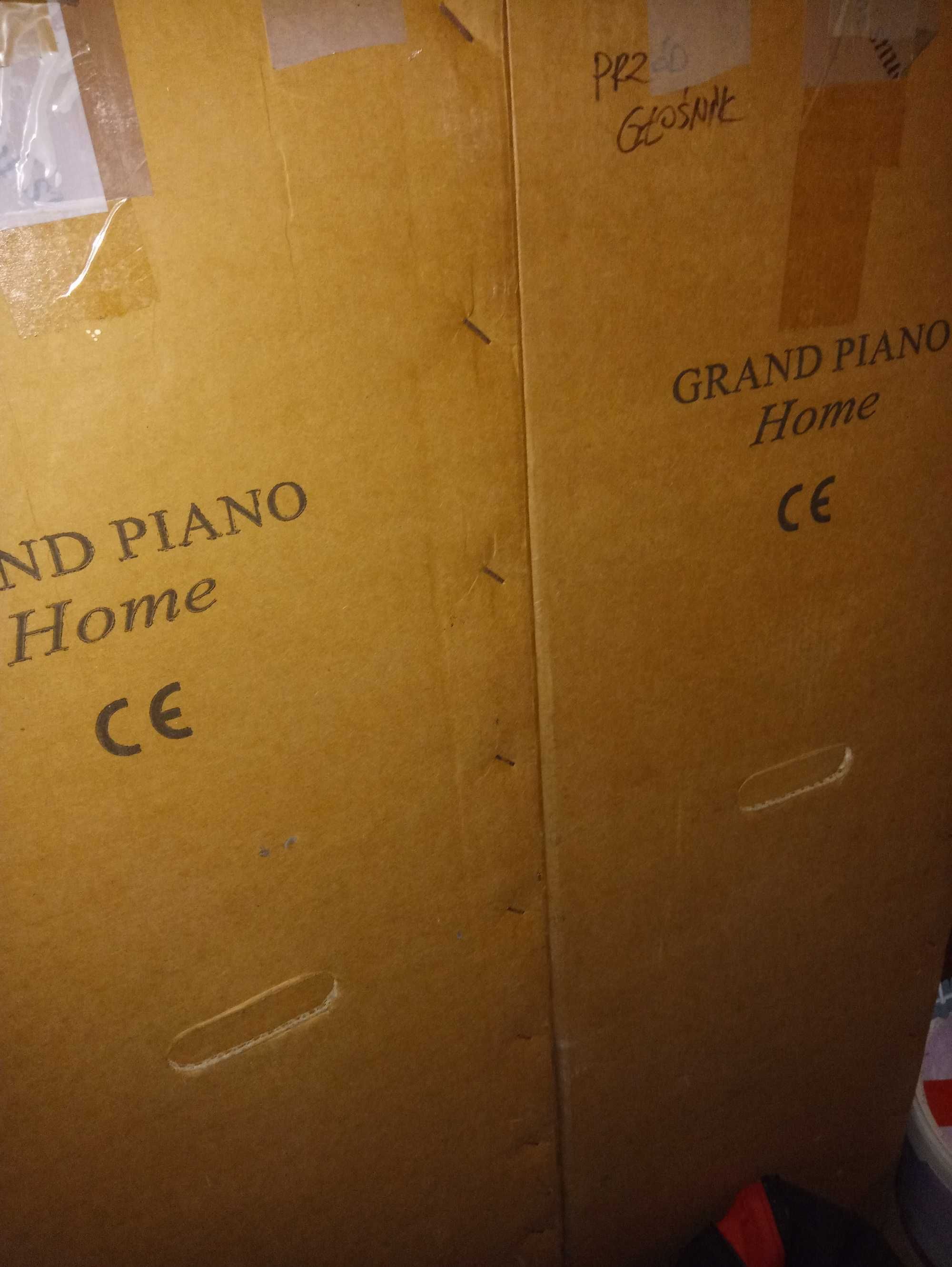 Sonus Faber Grand Piano Home !
