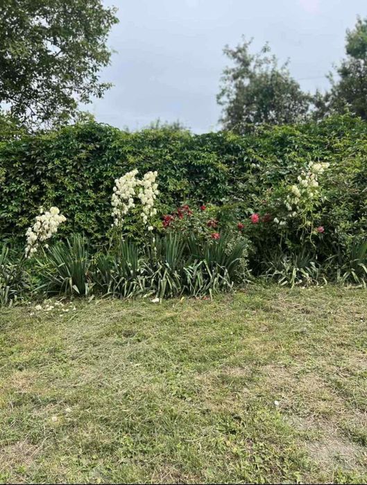 Продам будинок неподалік міста