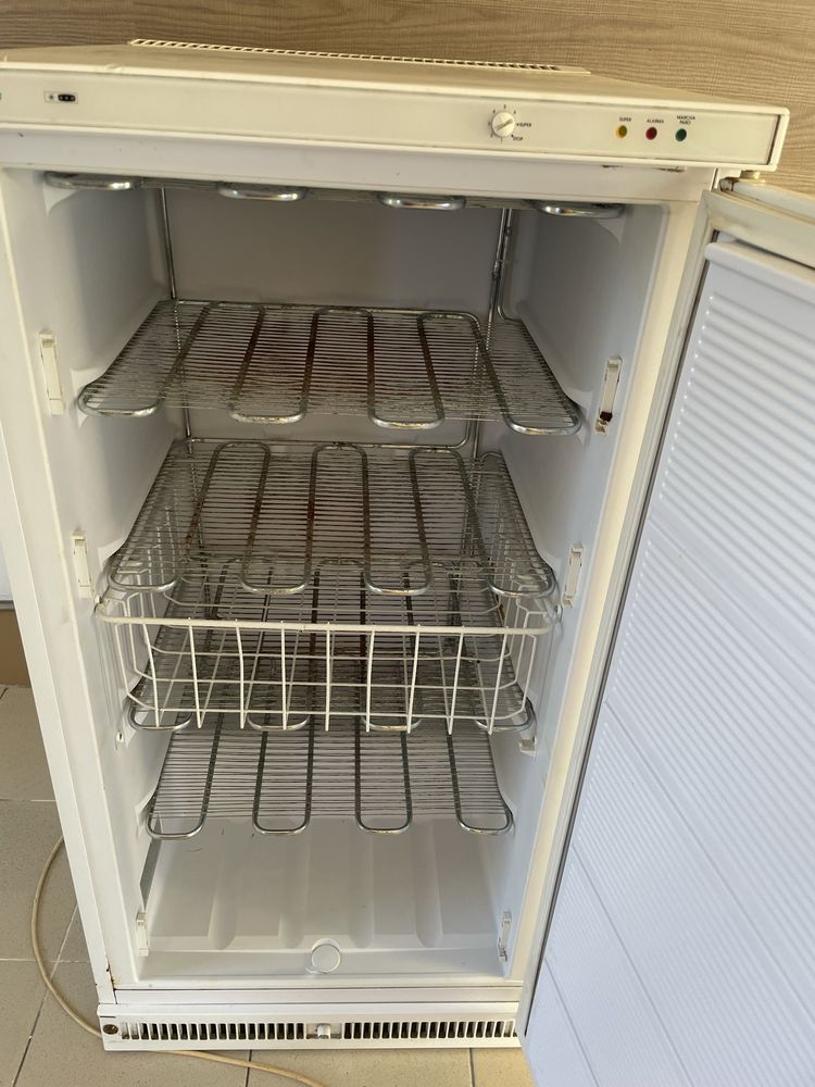 Arca congeladora