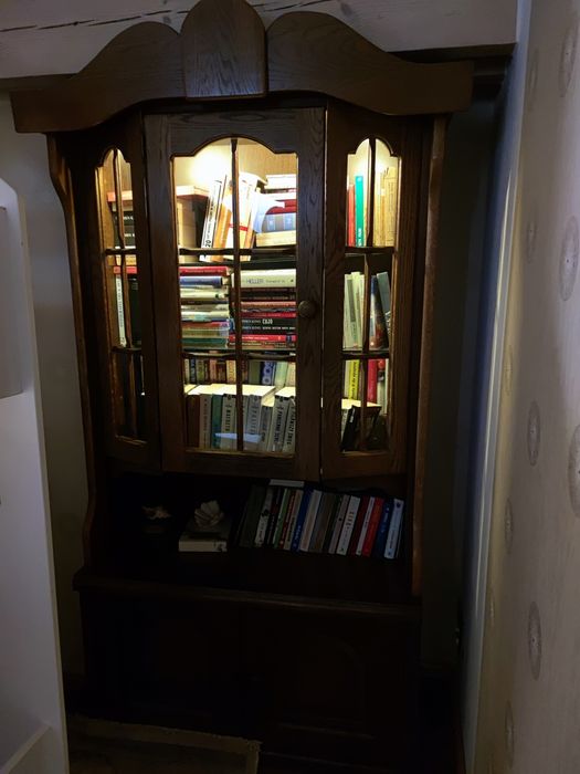 Witryna biblioteczka dębowa