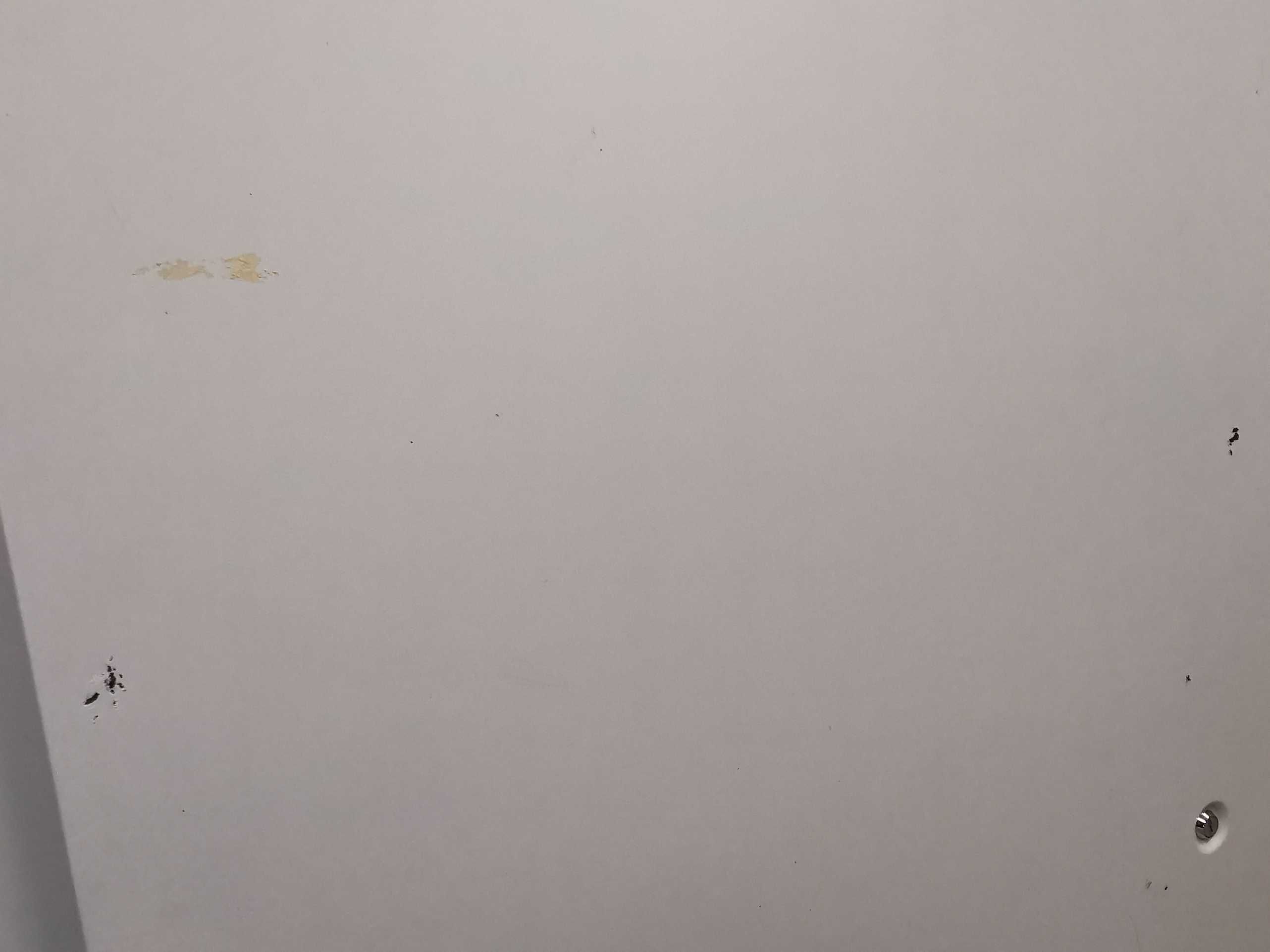 Szafa teleinformatyczna, wolnostojąca SCHRACK DS428010-A, 19", IP30